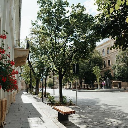 Contessa Central Studio Клуж-Напока Экстерьер фото