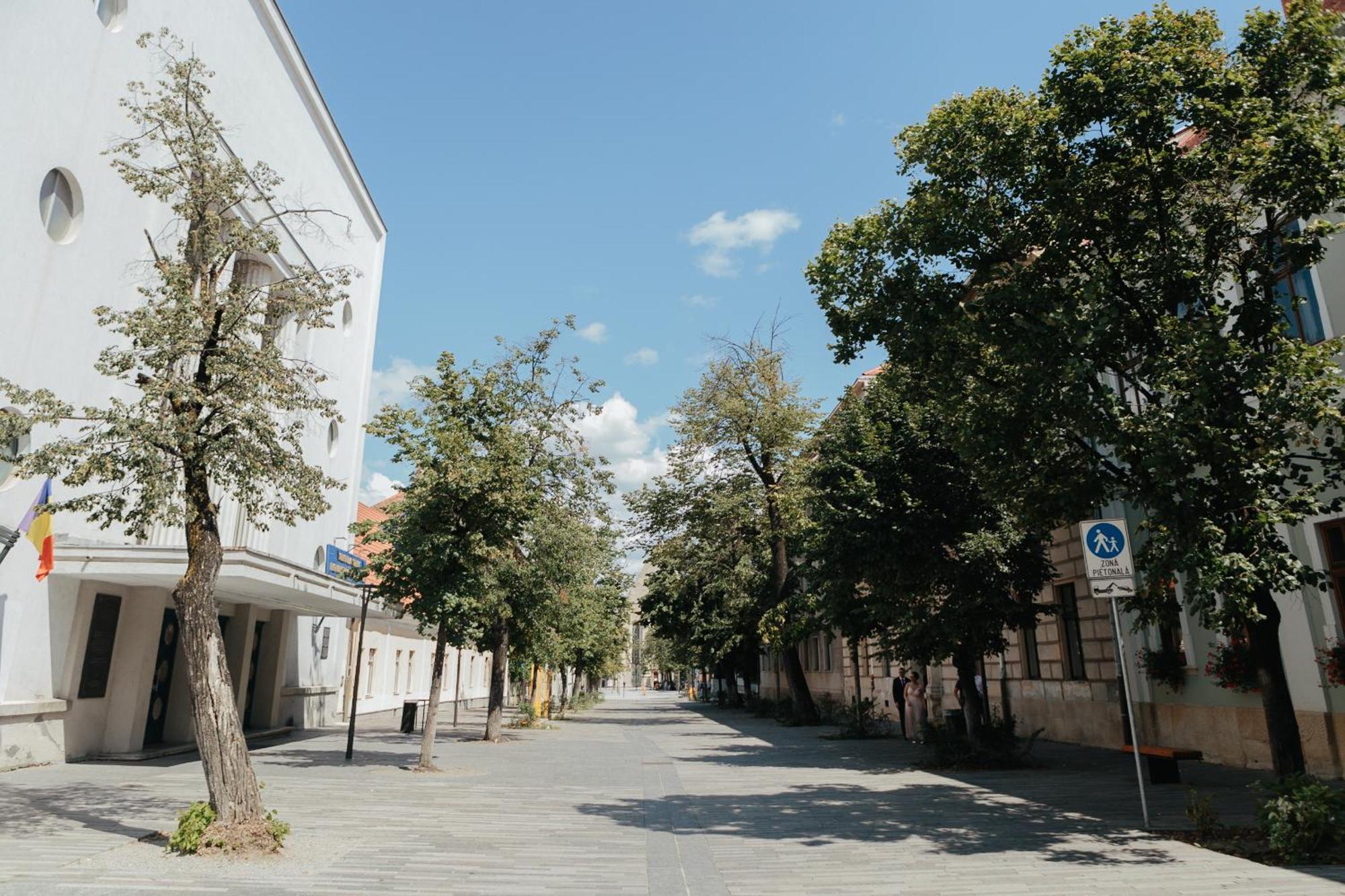 Contessa Central Studio Клуж-Напока Экстерьер фото